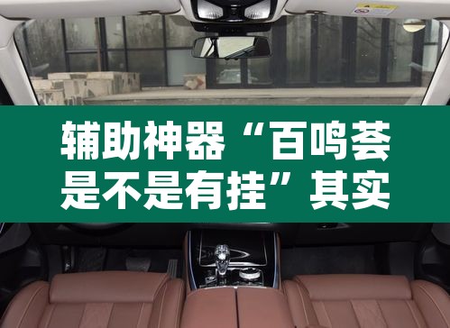 辅助神器“百鸣荟是不是有挂”其实确实有挂