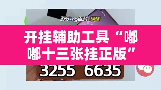 开挂辅助工具“嘟嘟十三张挂正版	”其实确实有挂