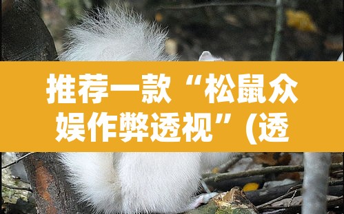 推荐一款“松鼠众娱作弊透视	”(透视)其实确实有挂