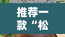 推荐一款“松鼠众娱作弊透视”(透视)其实确实有挂