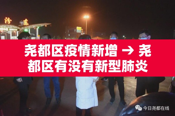 尧都区疫情新增 → 尧都区有没有新型肺炎
