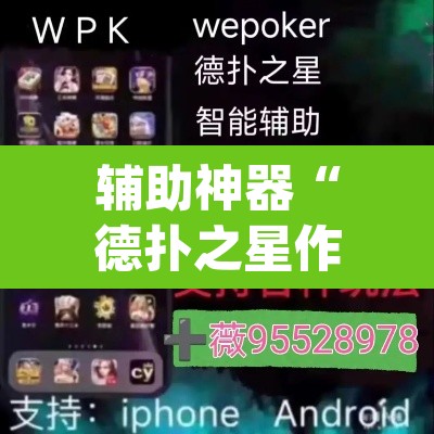 辅助神器“德扑之星作弊透视免费”(透视挂)辅助透视教程