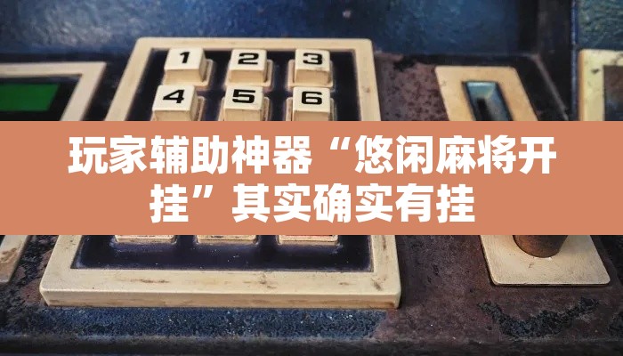 玩家辅助神器“悠闲麻将开挂	”其实确实有挂