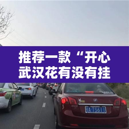 推荐一款“开心武汉花有没有挂	”其实确实有挂