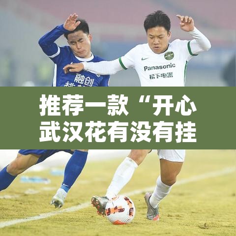 推荐一款“开心武汉花有没有挂	”其实确实有挂