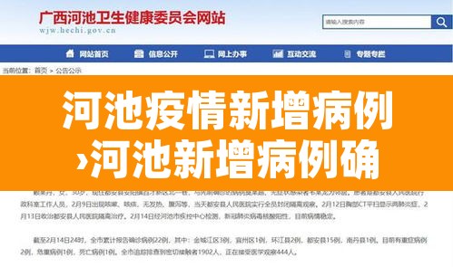 河池疫情新增病例›河池新增病例确诊详情