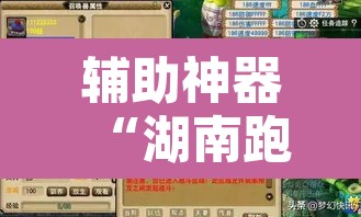 辅助神器“湖南跑胡子开挂方法”附辅助神器开挂脚本详细步骤