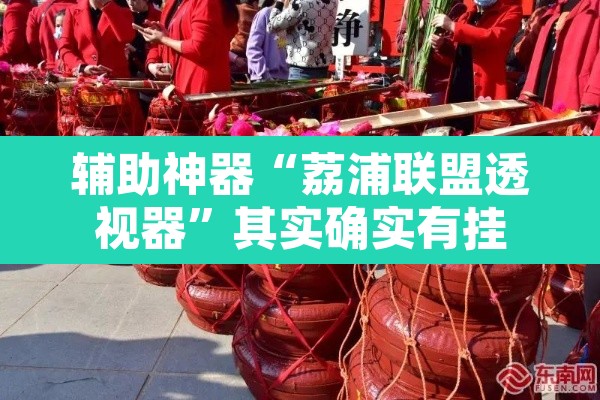 辅助神器“荔浦联盟透视器	”其实确实有挂