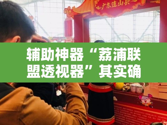 辅助神器“荔浦联盟透视器”其实确实有挂