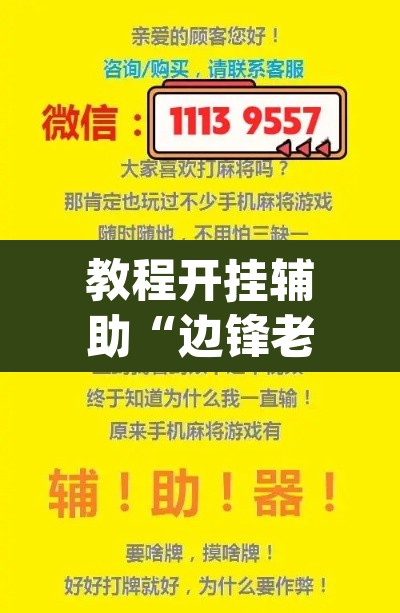 教程开挂辅助“边锋老友二打一开挂辅助软件”(透视挂)辅助透视教程