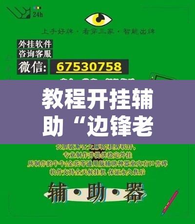 教程开挂辅助“边锋老友二打一开挂辅助软件”(透视挂)辅助透视教程