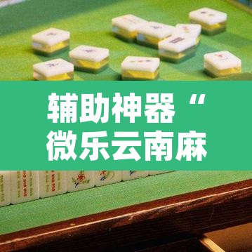 辅助神器“微乐云南麻将万能开挂器”其实确实有挂