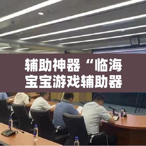 辅助神器“临海宝宝游戏辅助器”其实确实有挂