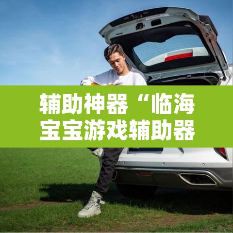 辅助神器“临海宝宝游戏辅助器	”其实确实有挂