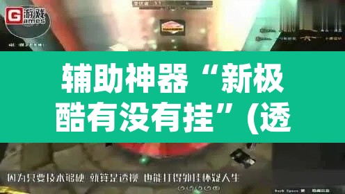 辅助神器“新极酷有没有挂”(透视)其实确实有挂