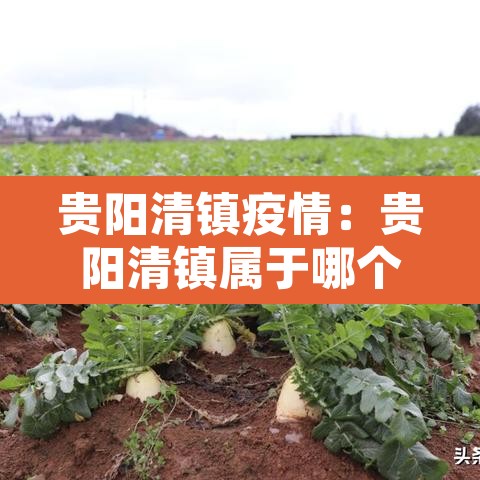 贵阳清镇疫情：贵阳清镇属于哪个区