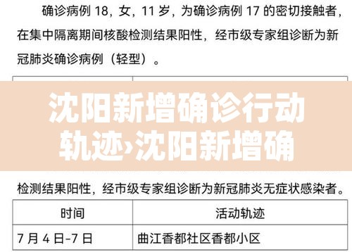 沈阳新增确诊行动轨迹›沈阳新增确诊病例轨迹公布