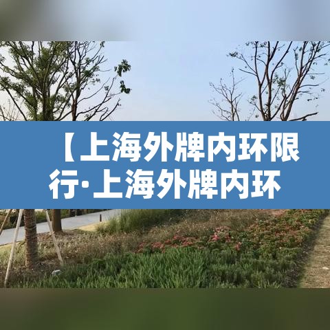 【上海外牌内环限行·上海外牌内环限行规定】 【上海外牌内环限行·上海外牌内环限行规定】