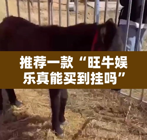 推荐一款“旺牛娱乐真能买到挂吗	”其实确实有挂