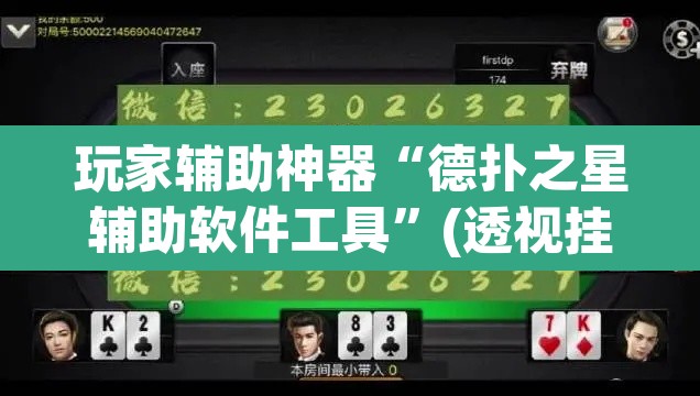 玩家辅助神器“德扑之星辅助软件工具”(透视挂)辅助透视教程