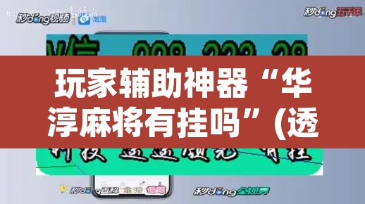 玩家辅助神器“华淳麻将有挂吗”(透视挂)辅助透视教程