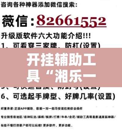 开挂辅助工具“湘乐一直输怎么办”开挂辅助脚本+详细开挂安装教程