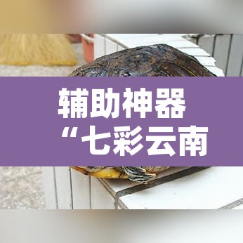 辅助神器“七彩云南麻将开挂神器下载	”其实确实有挂
