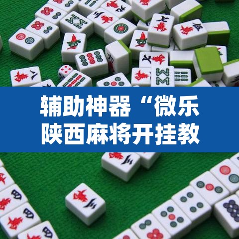 辅助神器“微乐陕西麻将开挂教程”(透视挂)辅助透视教程