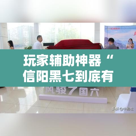 玩家辅助神器“信阳黑七到底有没有挂”(透视)其实确实有挂