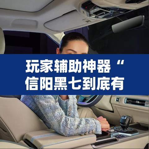 玩家辅助神器“信阳黑七到底有没有挂”(透视)其实确实有挂