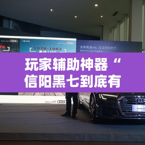 玩家辅助神器“信阳黑七到底有没有挂”(透视)其实确实有挂