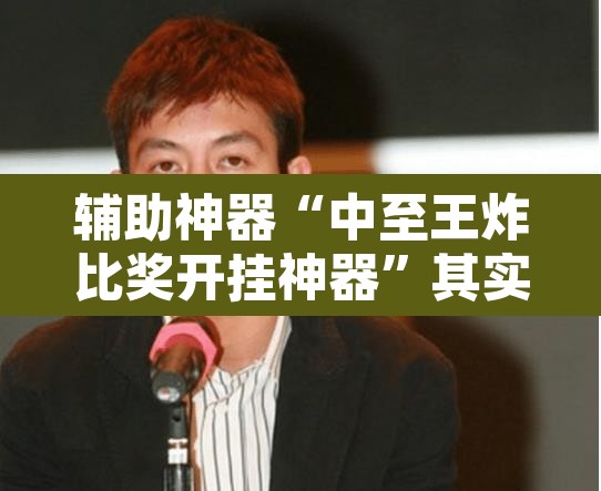 辅助神器“中至王炸比奖开挂神器	”其实确实有挂