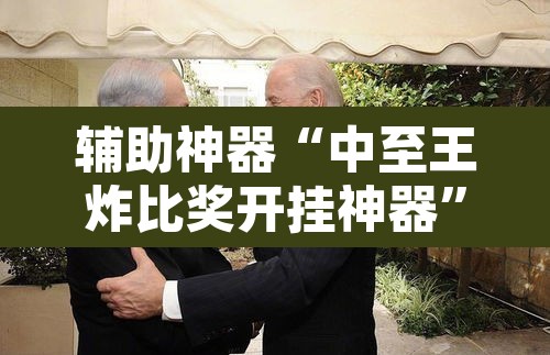 辅助神器“中至王炸比奖开挂神器”其实确实有挂
