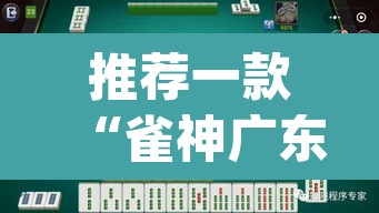 推荐一款“雀神广东麻将必胜软件免费	”(透视挂)辅助透视教程