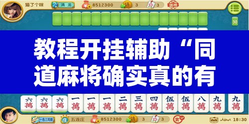 教程开挂辅助“同道麻将确实真的有挂	”其实确实有挂