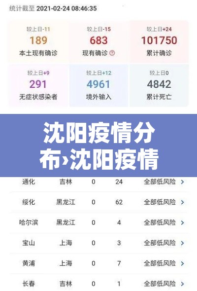 沈阳疫情分布›沈阳疫情分布情况