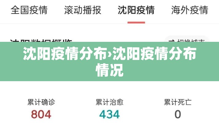 沈阳疫情分布›沈阳疫情分布情况