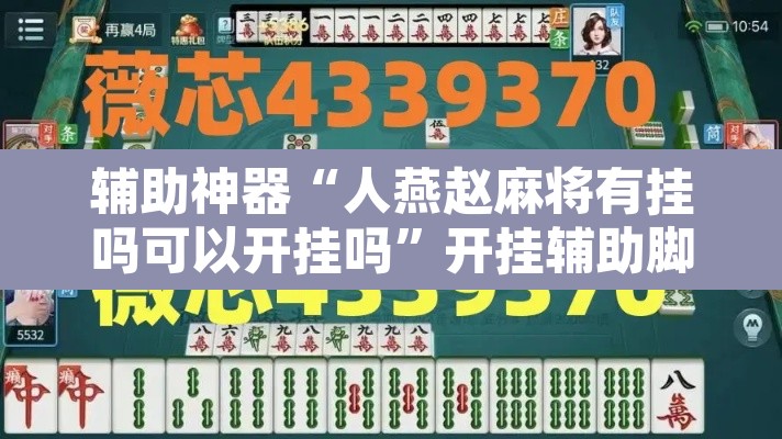 辅助神器“人燕赵麻将有挂吗可以开挂吗”开挂辅助脚本+详细开挂安装教程