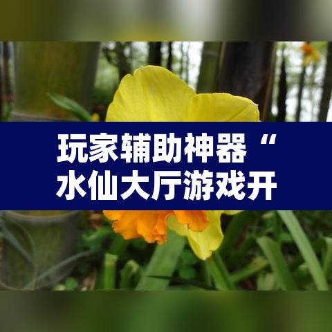 玩家辅助神器“水仙大厅游戏开挂辅助器	”其实确实有挂