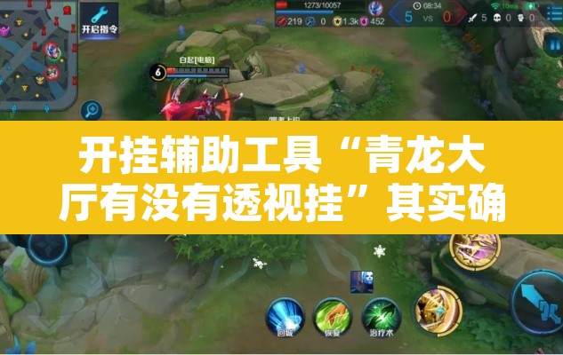 开挂辅助工具“青龙大厅有没有透视挂”其实确实有挂