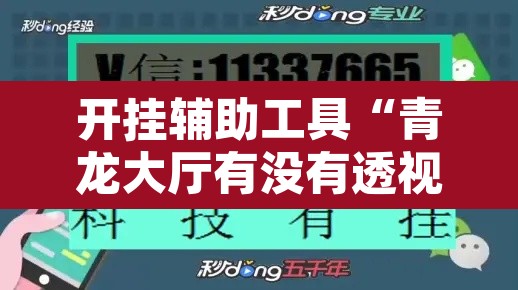 开挂辅助工具“青龙大厅有没有透视挂	”其实确实有挂