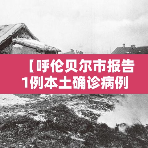 【呼伦贝尔市报告1例本土确诊病例·呼伦贝尔确诊病例3例】