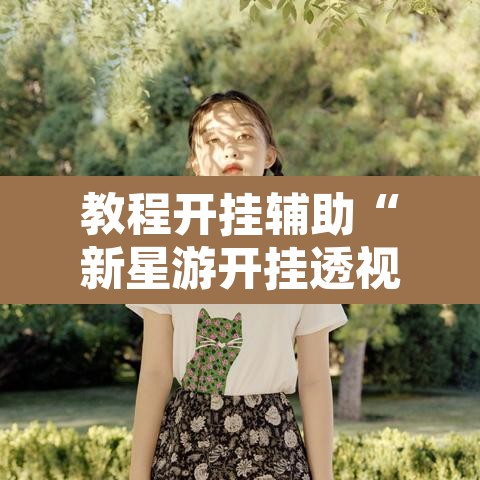 教程开挂辅助“新星游开挂透视辅助软件”其实确实有挂