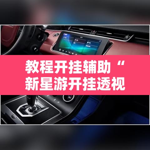 教程开挂辅助“新星游开挂透视辅助软件”其实确实有挂