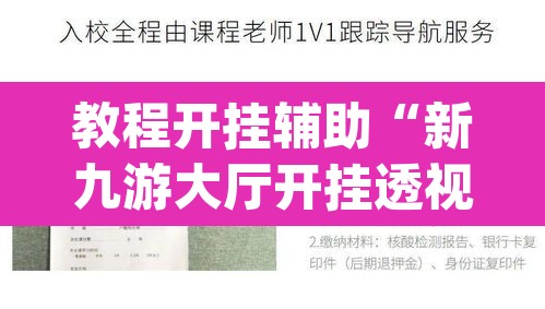 教程开挂辅助“新九游大厅开挂透视软件”(透视挂)辅助透视教程