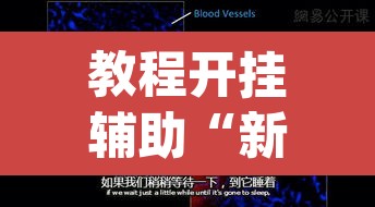 教程开挂辅助“新九游大厅开挂透视软件”(透视挂)辅助透视教程