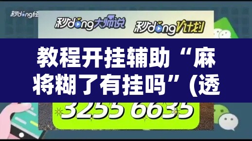 教程开挂辅助“麻将糊了有挂吗”(透视)其实确实有挂