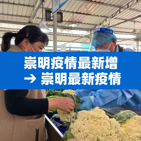 崇明疫情最新增 → 崇明最新疫情通报