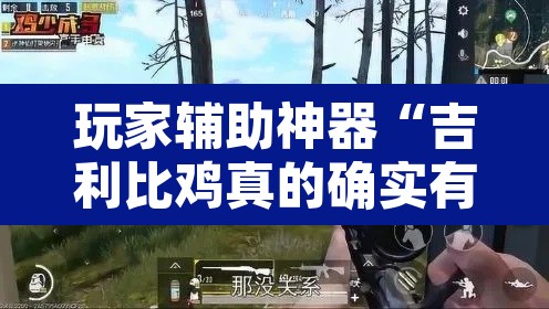 玩家辅助神器“吉利比鸡真的确实有挂	”附辅助神器开挂脚本详细步骤
