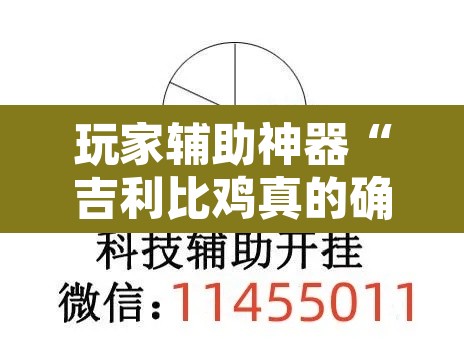 玩家辅助神器“吉利比鸡真的确实有挂”附辅助神器开挂脚本详细步骤